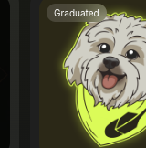 Robinhood Dog